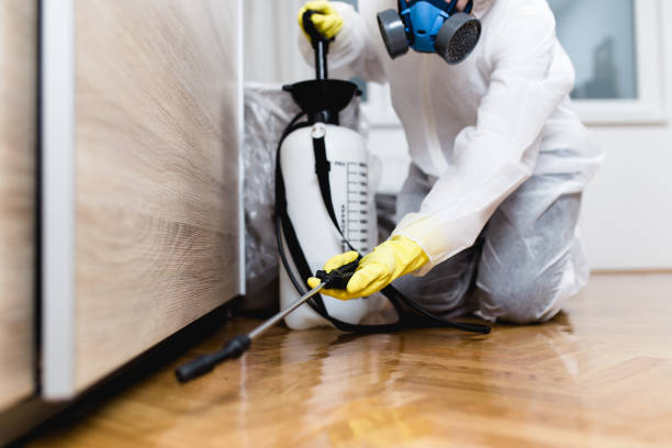Pest Control for Restaurants in El Rio, CA