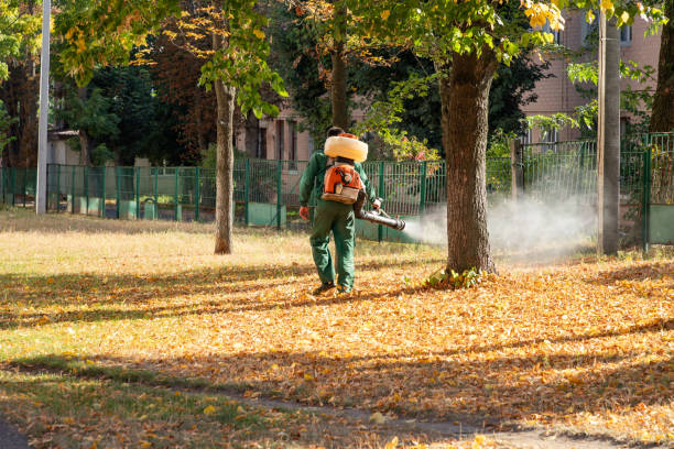 Best Commercial Pest Control Services  in El Rio, CA